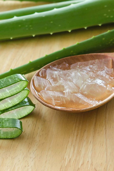 Aloe vera pure gel